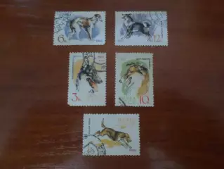 Марки СССР фауна Собаки 1965 г гаш
