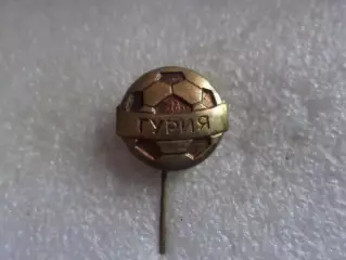 Значок Гурия Ланчхути Грузия