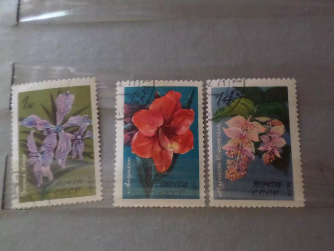 Марки СССР флора Цветы 1971 г гаш