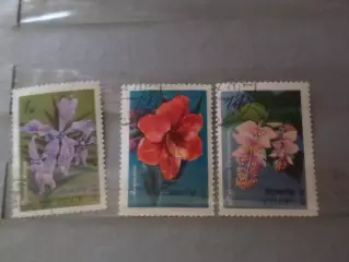 Марки СССР флора Цветы 1971 г гаш