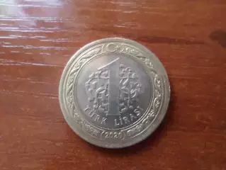 Монета 1 лира Турция 2020 г
