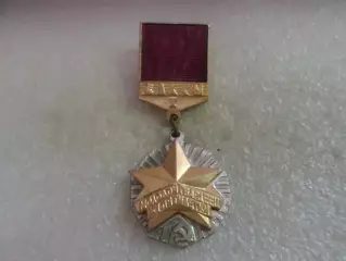 Знак ЦК ВЛКСМ Молодогвардеец 11 пятилетки 1 степень накладной