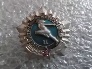 Значок ГТО 2-я ступень сер