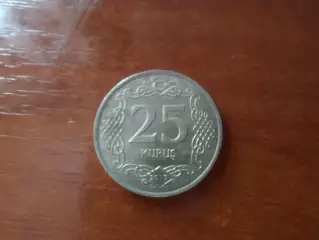 Монета 25 куруш Турция 2017 г