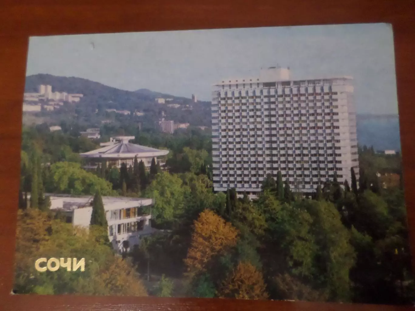 открытка Сочи пансионат Светлана 1981 г чист