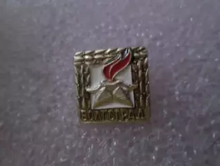 Значок Волгоград