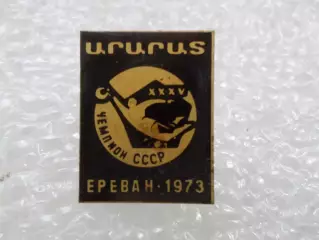 Значок футбол Арарат Ереван - чемпион СССР по футболу 1973 г темно-корич(черн)