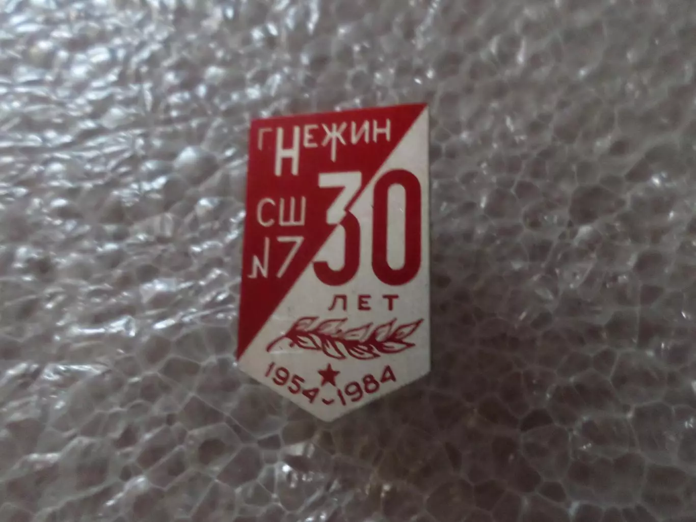 Значок 30 лет школа № 7 г Нежин 1954-1984