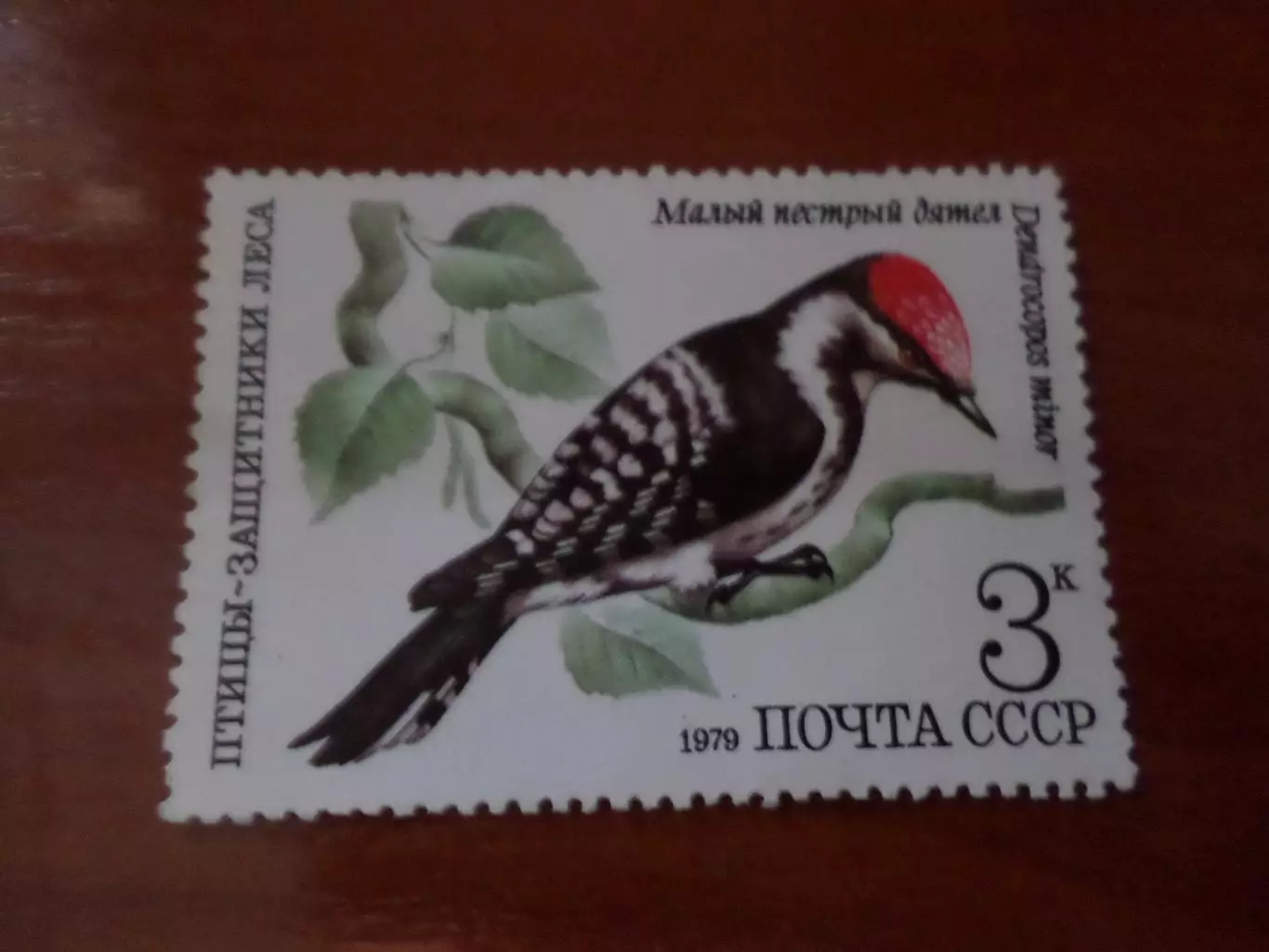 марки СССР фауна Птицы Защитники леса 1979 г негаш.