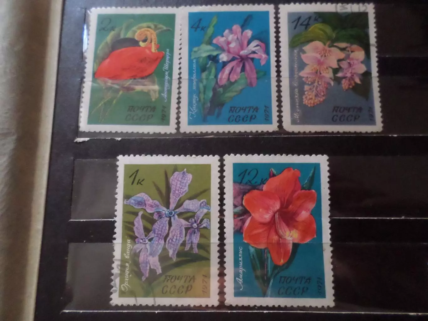 Марки СССР флора Цветы 1971 г
