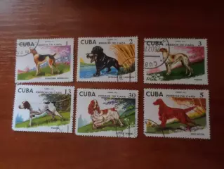 Марки Куба фауна Собаки 1976 г гаш