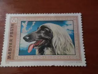 Марки Венгрия фауна Собака 1972 г негаш