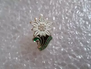 Значок цветок Эдельвейс