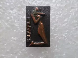 Значок гор. Саласпилс