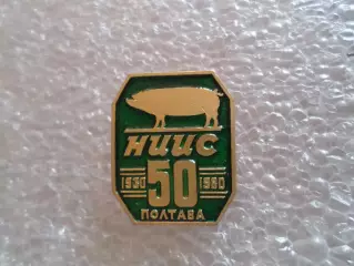 Значок 50 лет Научно-исследовательский институт свиноводства 1930-1980