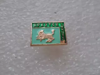 Значок г. Иркутск
