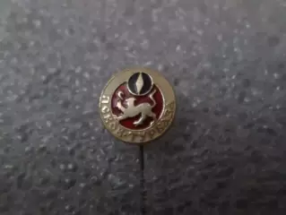 Значок Псков турбаза