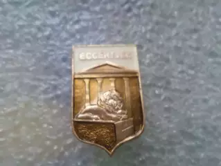 Значок Ессентуки