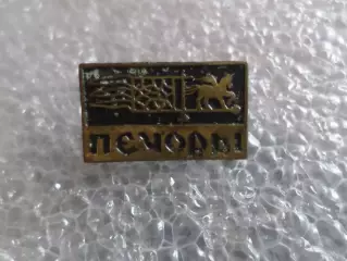 Значок Печоры