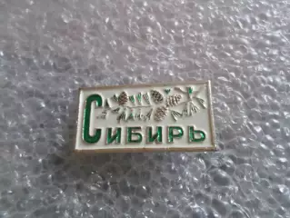 Значок Сибирь.