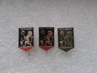 Значок футбол Карпаты Львов 3 шт разная расцветка