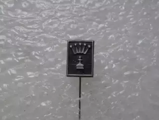 Значок Шахматы пешка