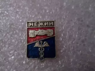 Значок г. Нежин