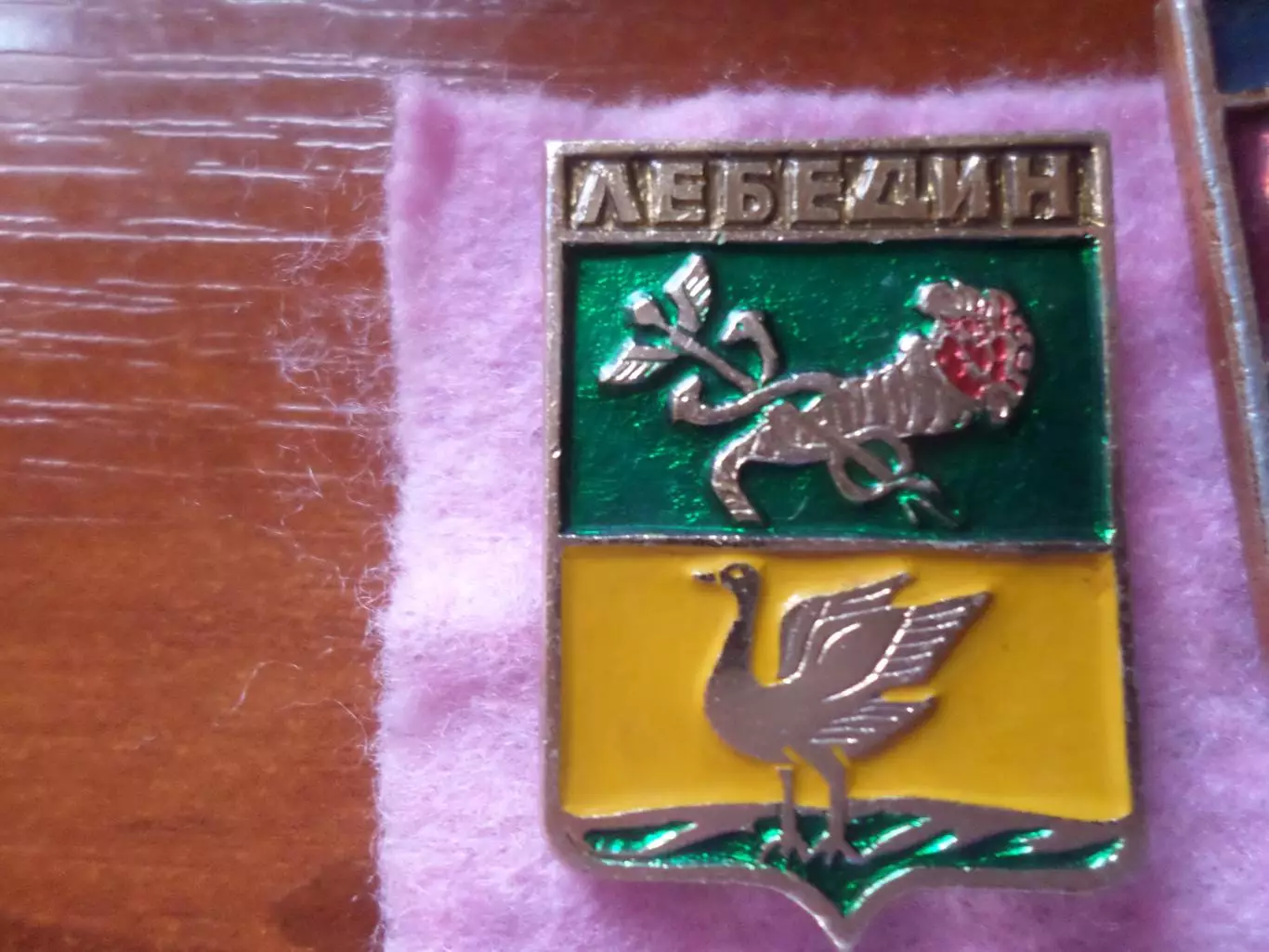 Значок город Лебедин