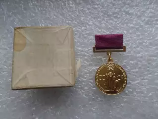 Знак ВДНХ За успехи в народном хозяйстве СССР 3 степень