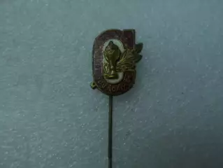 значок Чемпион спортивного коллектива Румыния