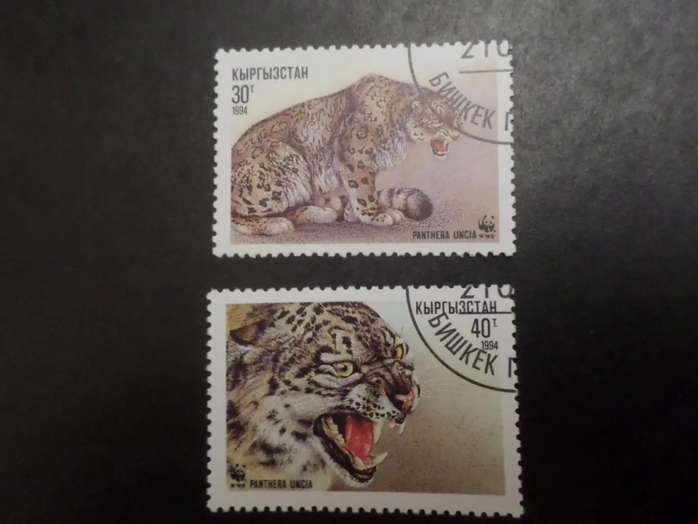 марки Киргизия фауна Леопард 1994 г