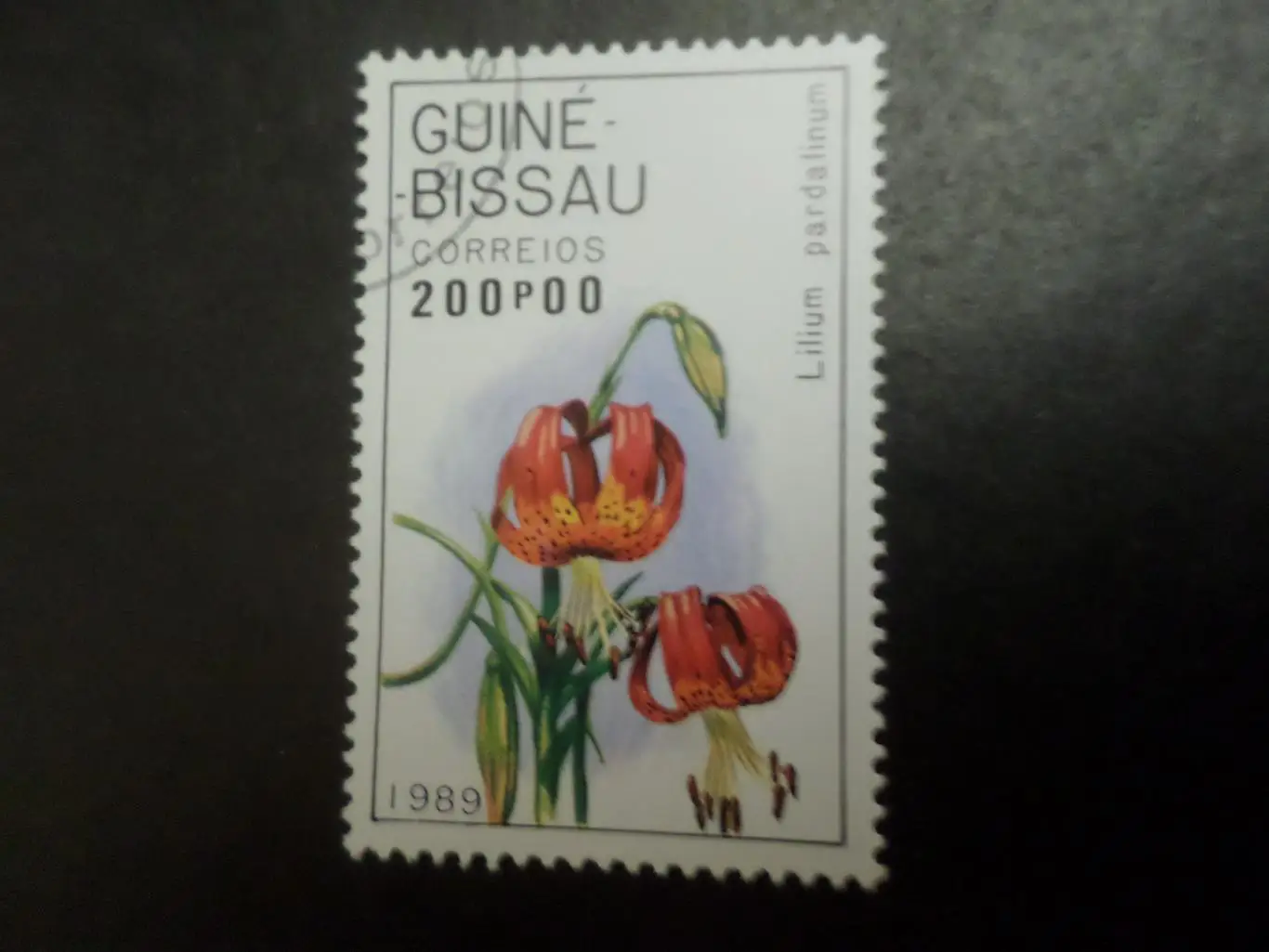марки Гвинея-Бисау флора Цветы 1989 г