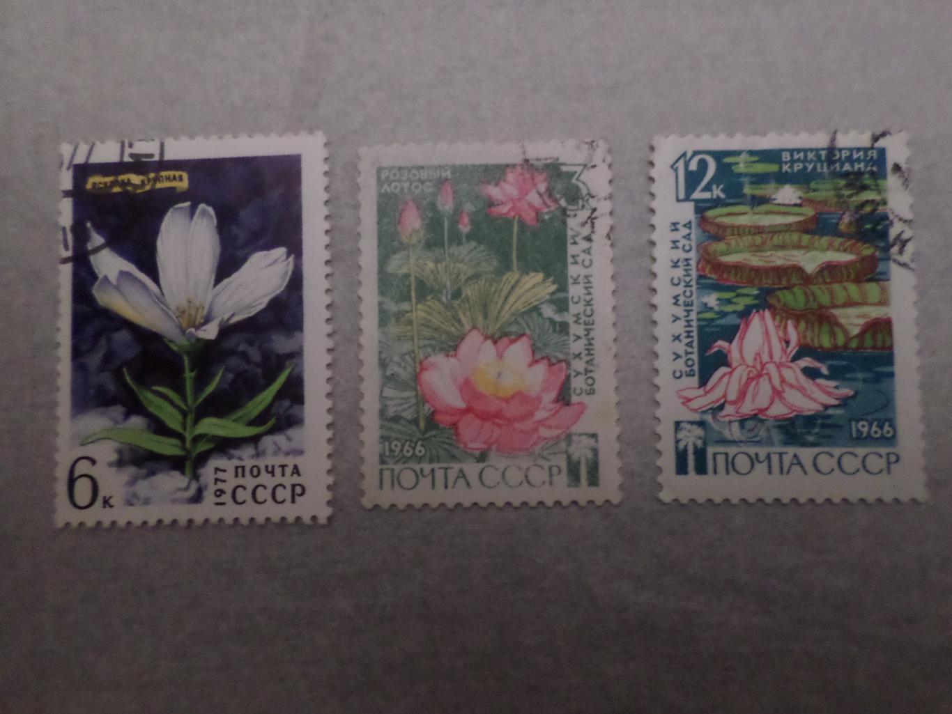 марки СССР флора Цветы 1966 г