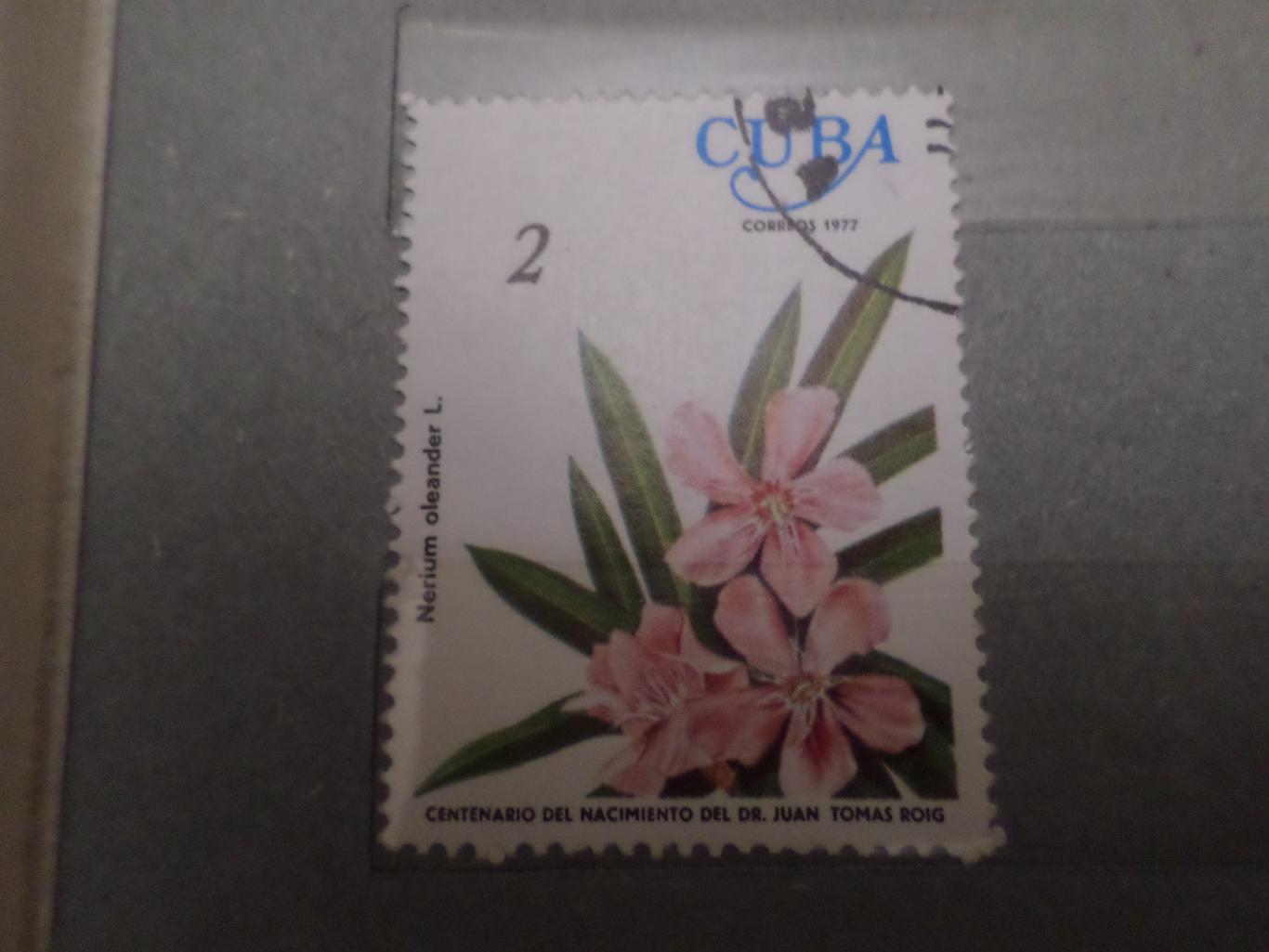 Марки Куба флора Цветы 1977 г