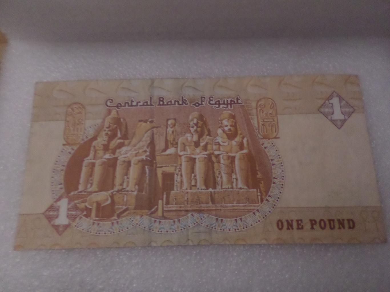 Банкнота 1 фунт Египет 1