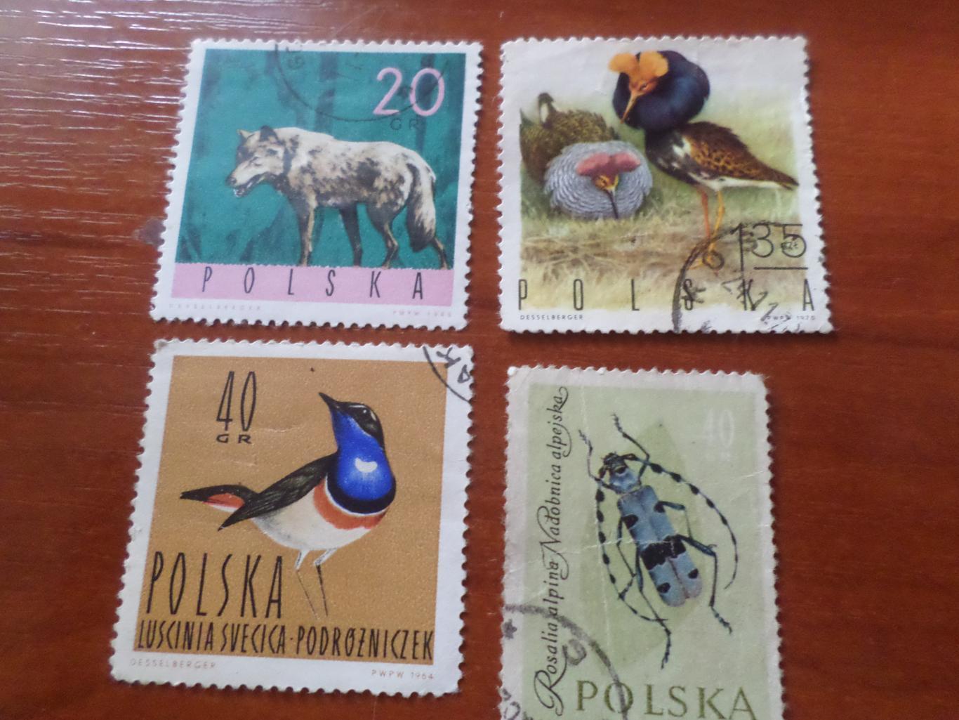 марки Польша фауна