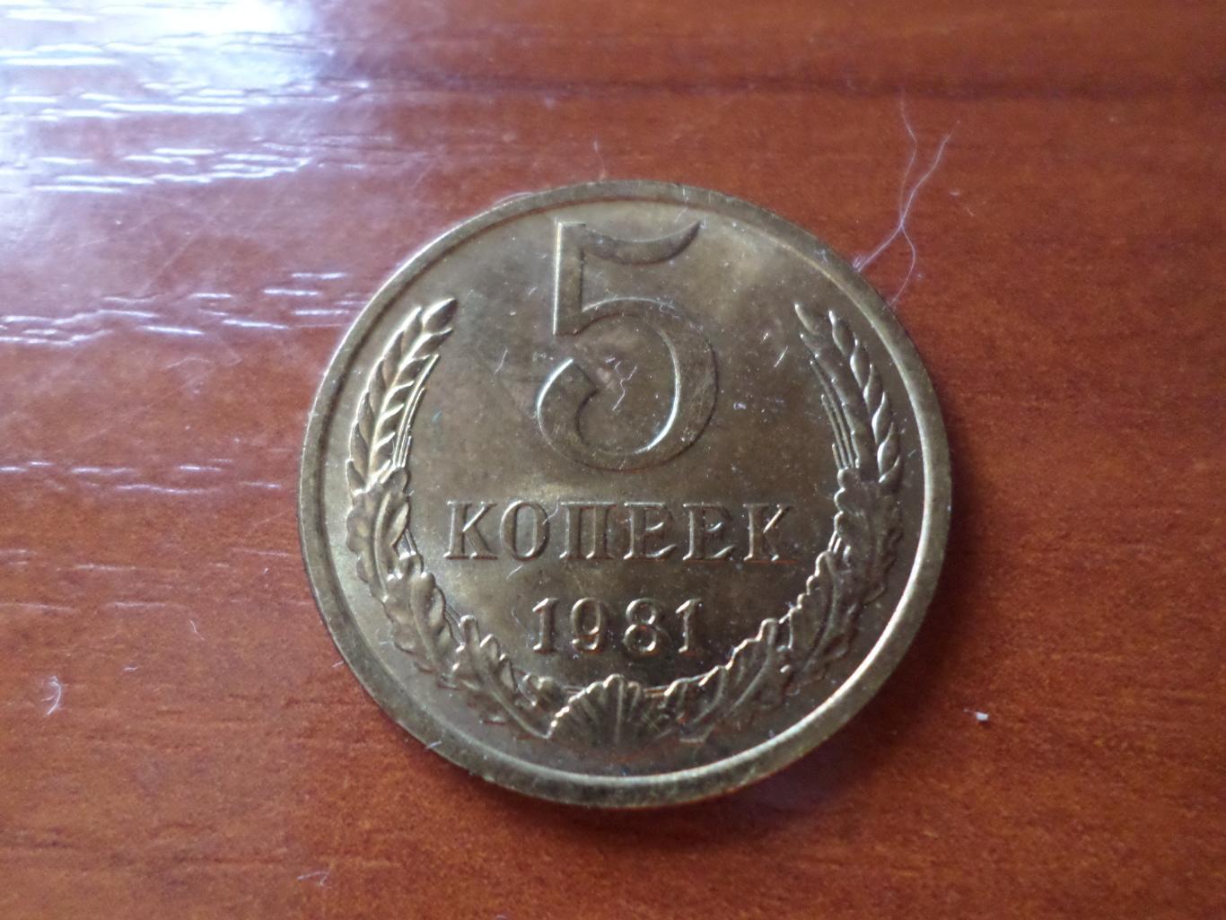 Монета 5 копеек СССР 1981 г