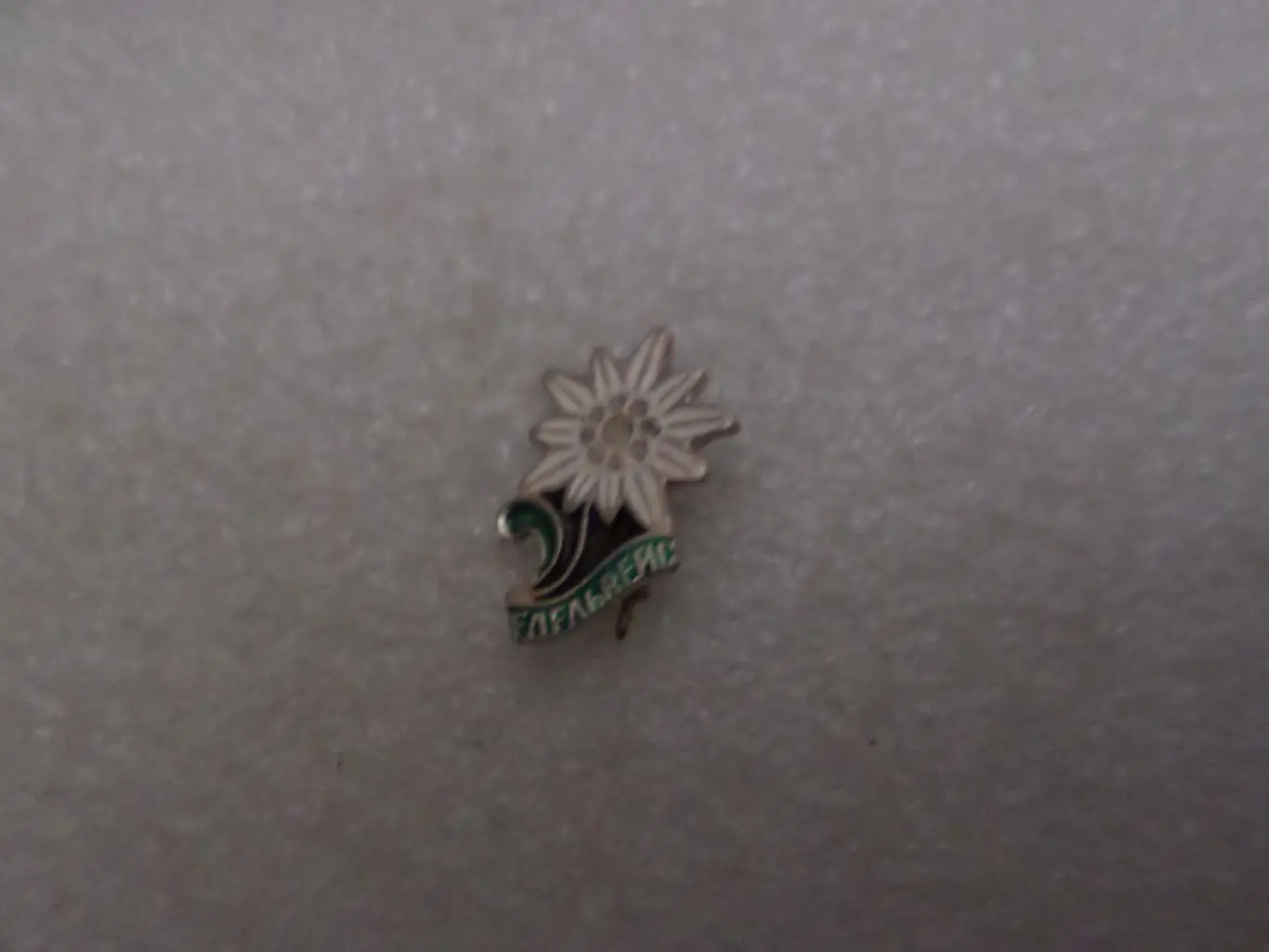 Значок Эдельвейс