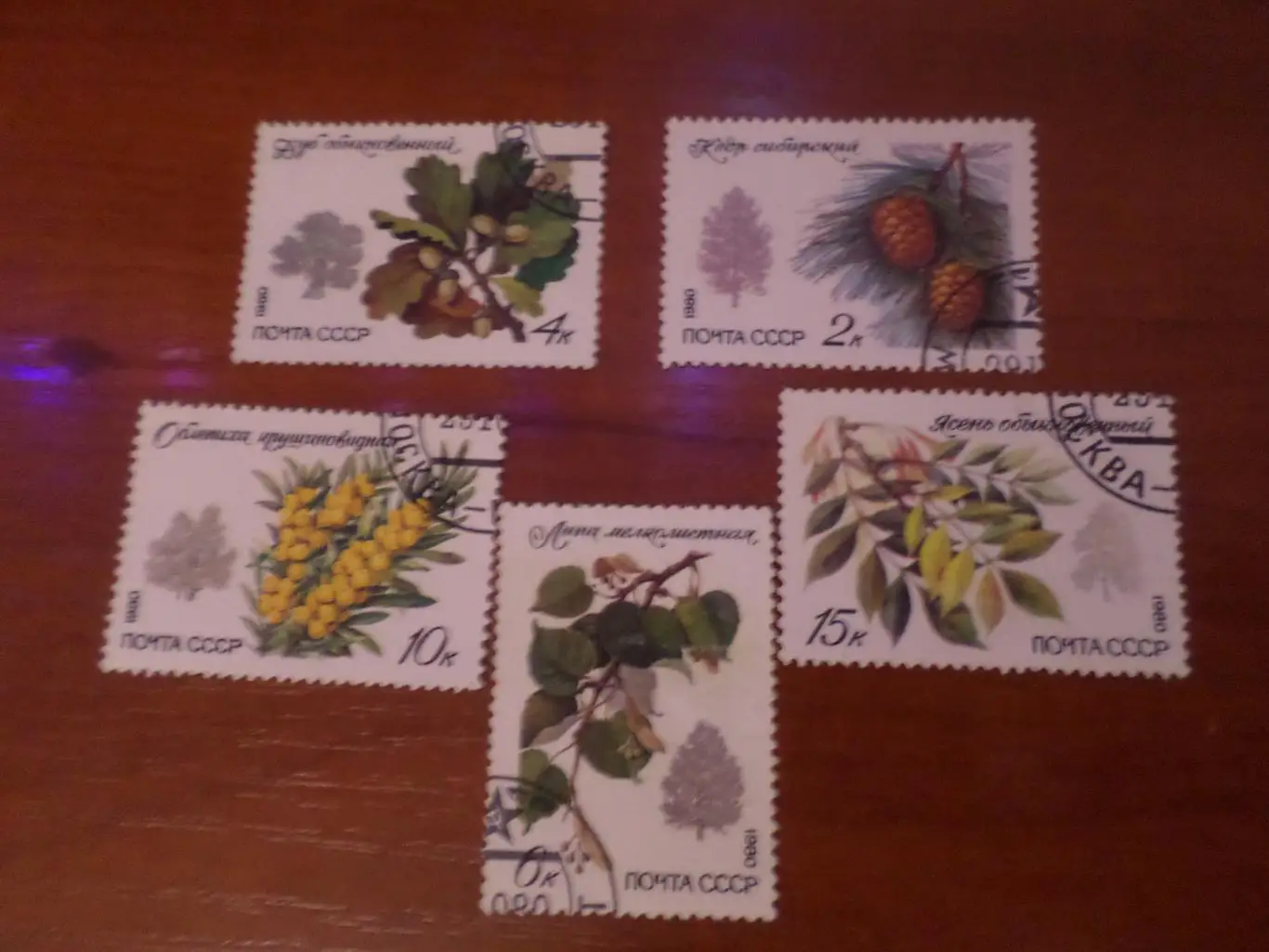 марки СССР флора Деревья 1980 г гаш