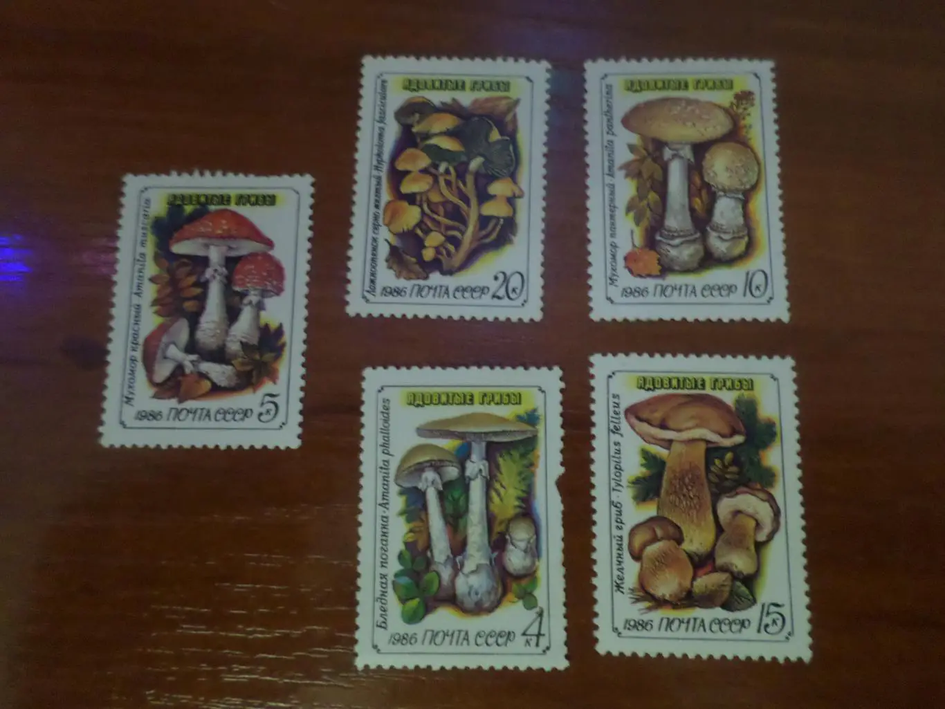 марки СССР флора Ядовитые грибы 1986 г негаш