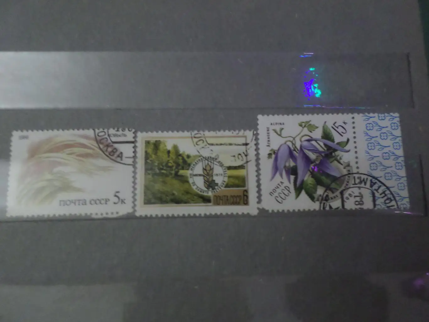 марки СССР флора разные