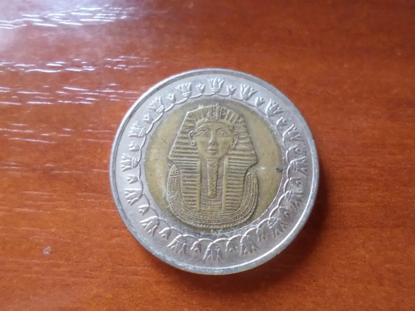 Монета 1 фунт Египет 1