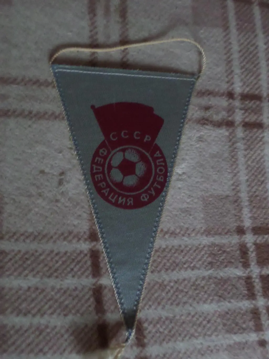 Вымпел Динамо Тбилиси - обладатель Кубка Кубков 1981 г 1