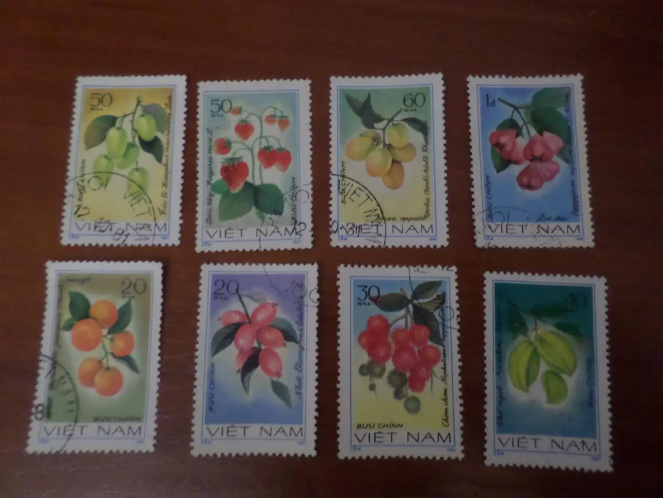 Марки Вьетнам флора Цветы 1981 г гаш