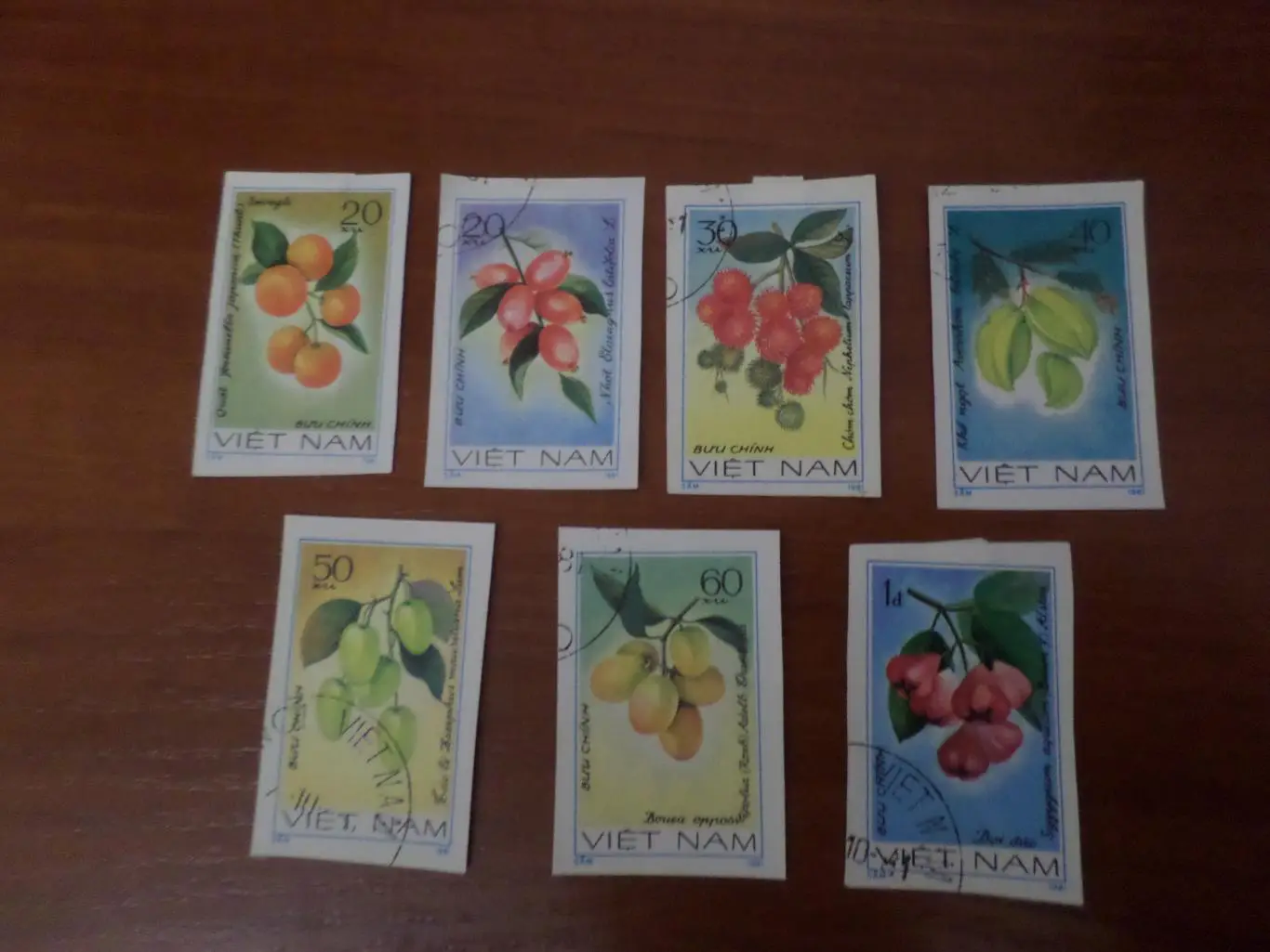 Марки Вьетнам флора Цветы 1981 г гаш беззубцовка