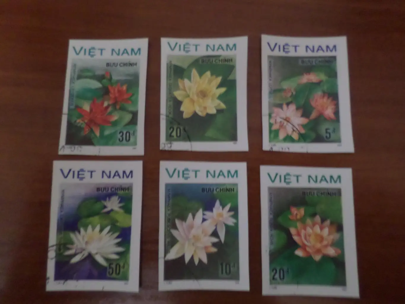 Марки Вьетнам флора Цветы 1987 г гаш беззубц