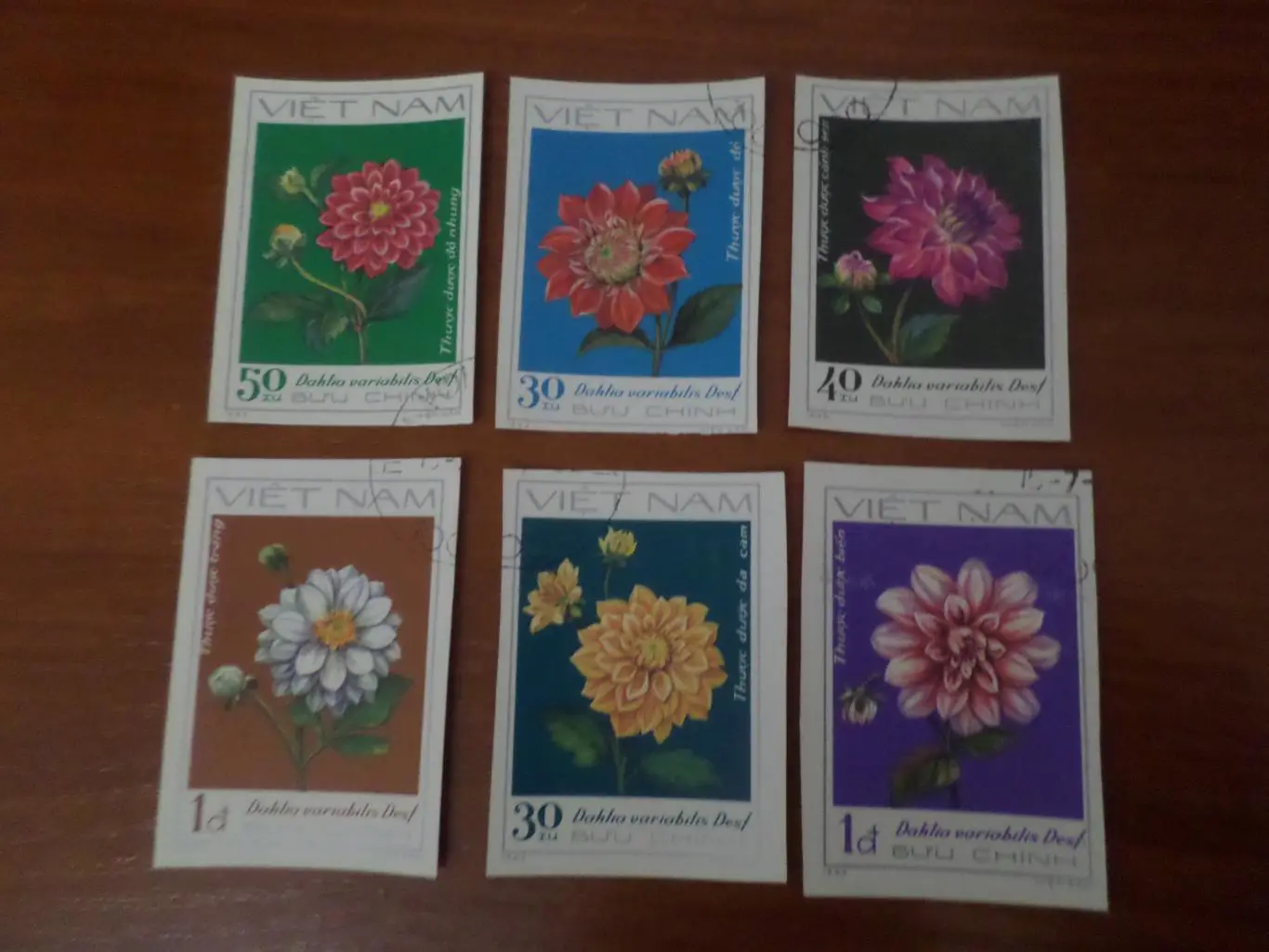 Марки Вьетнам флора Цветы 1982 г гаш беззубц