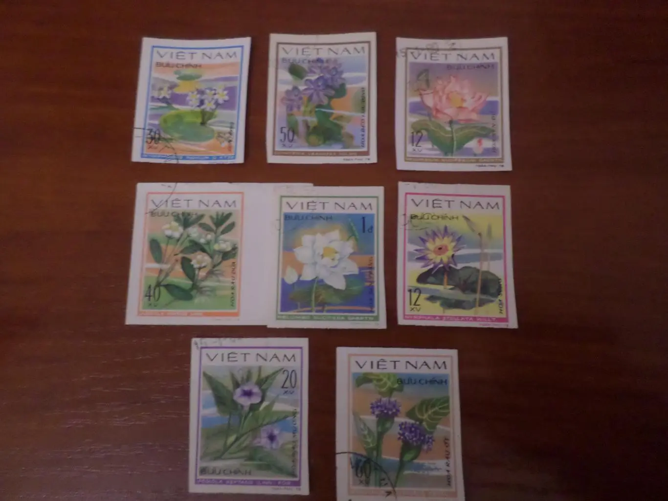 Марки Вьетнам флора Цветы 1978 г гаш беззубц