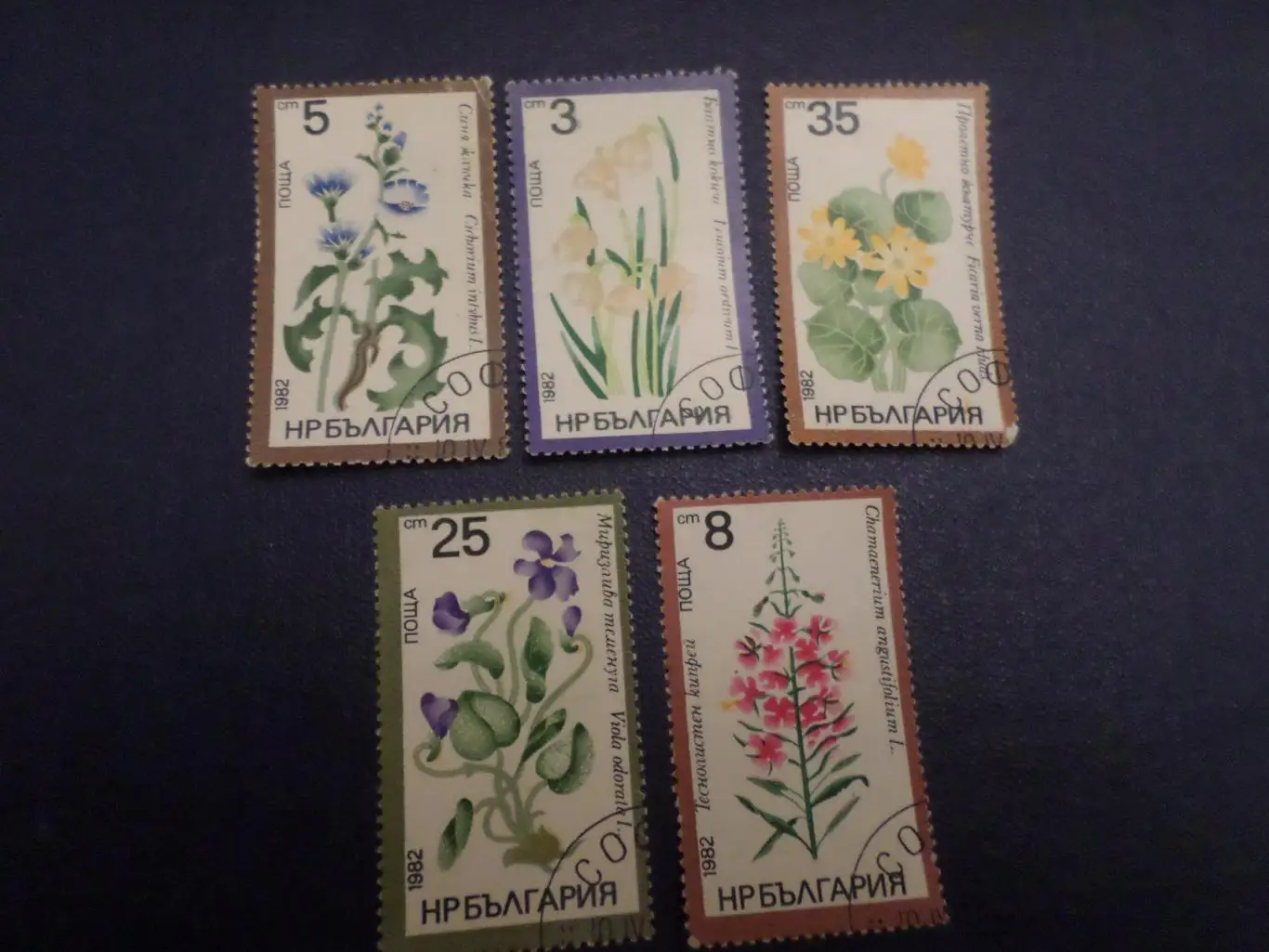 Марки Болгария флора Цветы 1982 г гаш