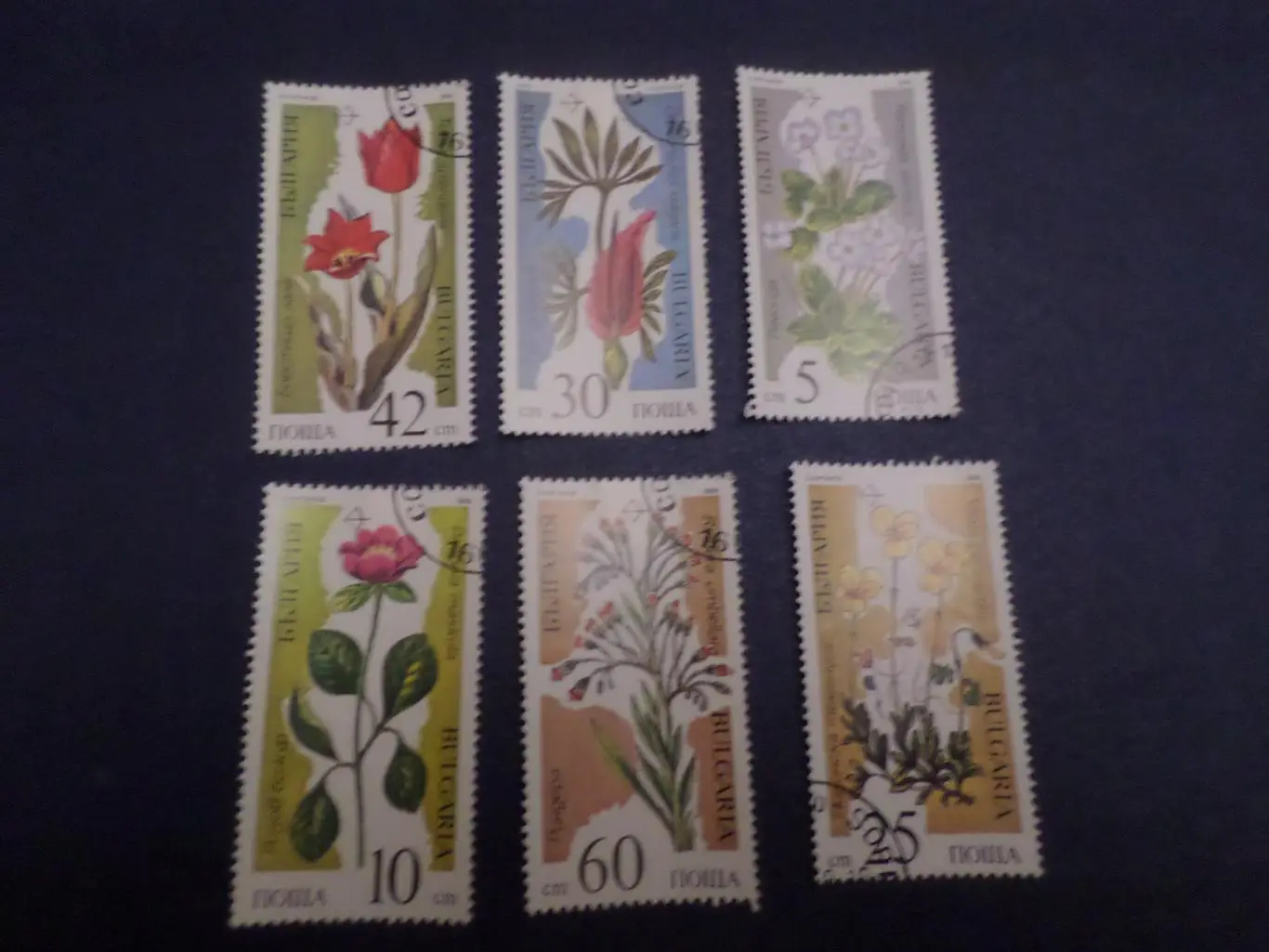 Марки Болгария флора Цветы 1989 г гаш